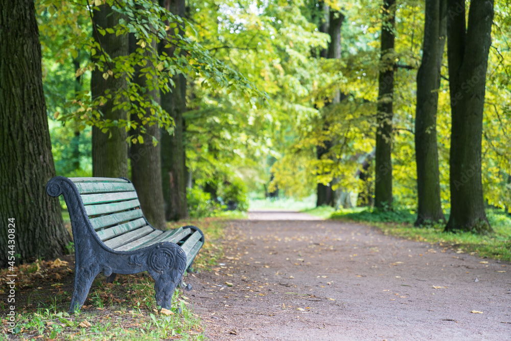 Old wooden bench in empty park, urban garden near pathway. Summer or early autumn morning in forest with old green trees. Relaxation and inspiration in city concept. Sit to relax, recreation in nature
