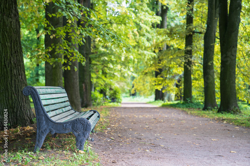 Old wooden bench in empty park, urban garden near pathway. Summer or early autumn morning in forest with old green trees. Relaxation and inspiration in city concept. Sit to relax, recreation in nature © DimaBerlin
