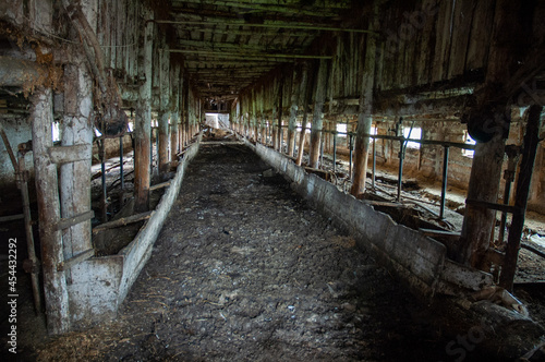 an old ruined cowshed © Сергей Кожуховский
