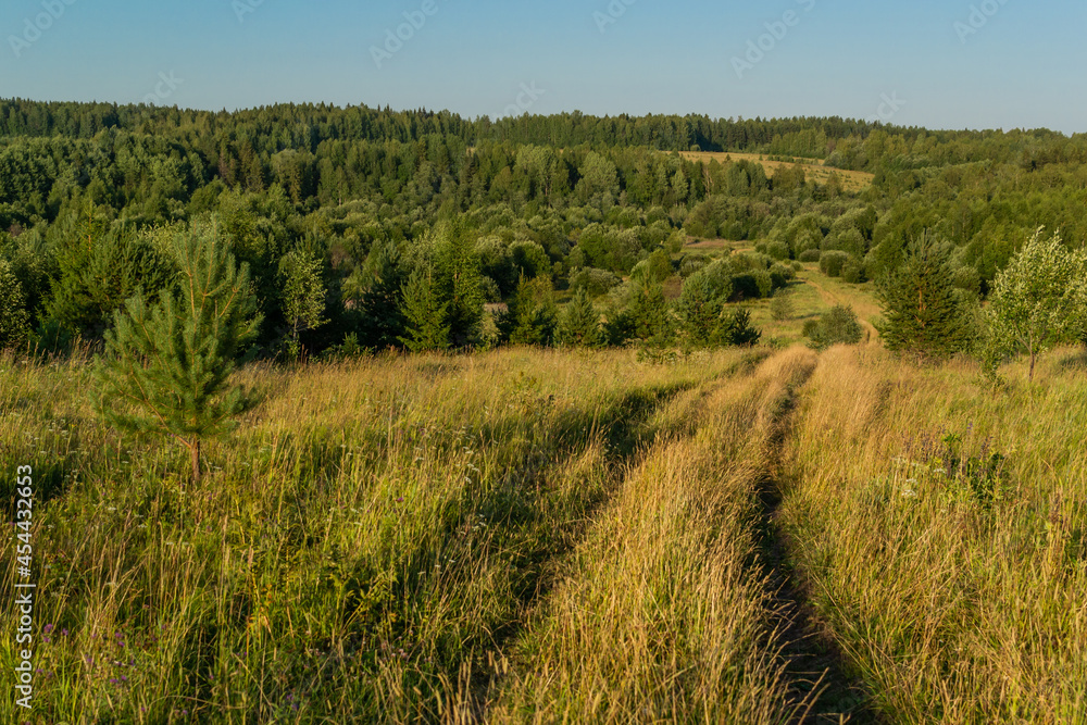 Country road in a field among golden grass, cereals, leading past the forest trees into the distance, over the hills in the light of sunset