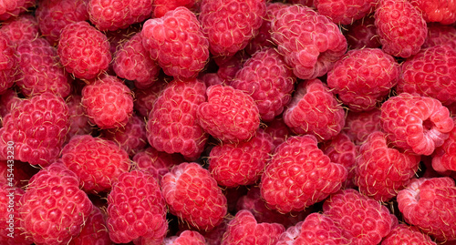 Berry background. Juicy ripe raspberries closeup. Berry pattern and texture.