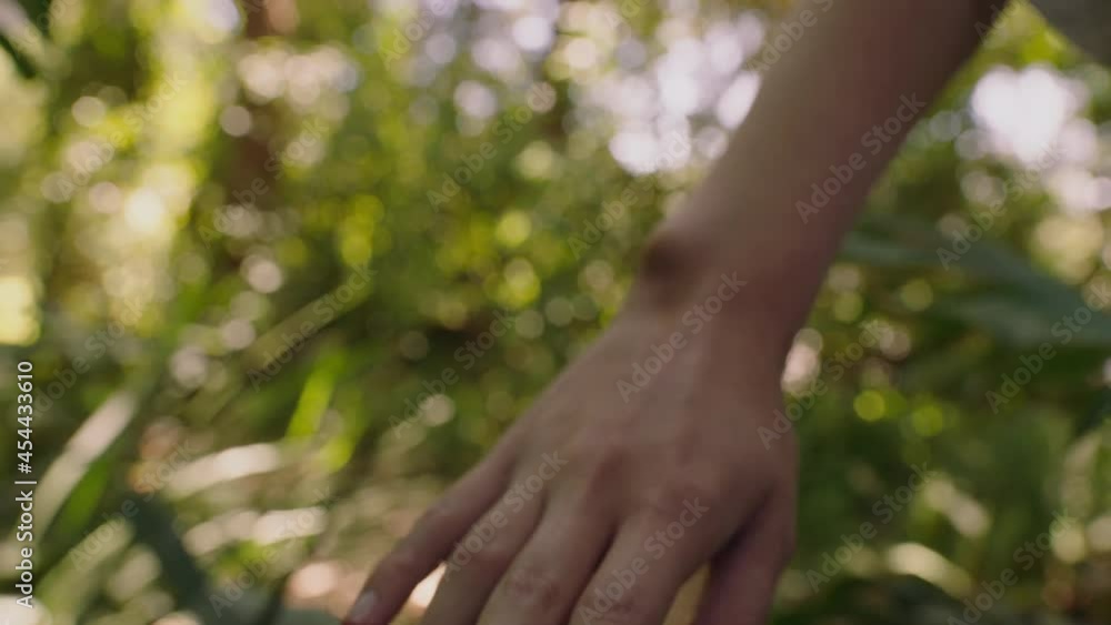 nature woman hand touching plants in forest exploring lush natural beauty in garden 4k nature woman hand touching plants in forest exploring lush natural beauty in garden 4k