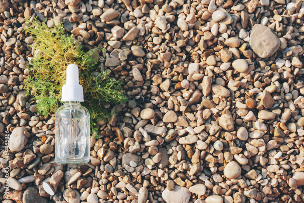 Bottle of serum or cosmetic oil on pebble beach with seaweed. Natural anti aging cosmetics concept. Top view, flat lay, copy space Bottle of serum or cosmetic oil on pebble beach with seaweed. Natural anti aging cosmetics concept. Top view, flat lay, copy space