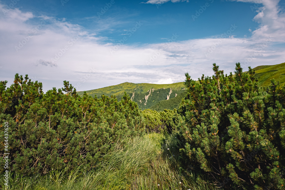 Naklejka premium beautiful landscape of mountains. walks in the mountains. meeting of mountains with the sky