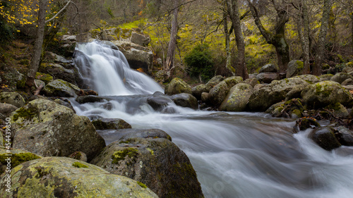 waterfall in the forest