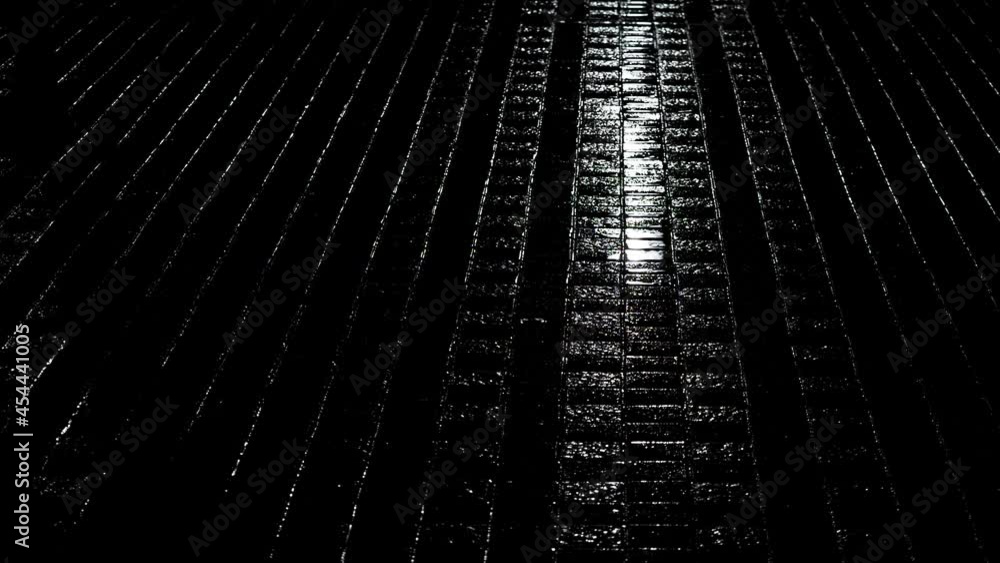 Tokyo,Japan - September 2, 2021: Falling rain on brick tiles at night
Tokyo,Japan - September 2, 2021: Falling rain on brick tiles at night