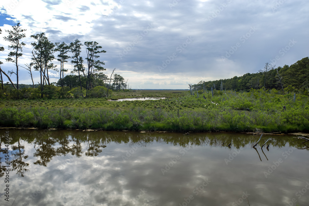 Wetlands and marsh on the Virginia coast in USA in the late afternoon sun on an overcast day. A wetland is a distinct ecosystem that is flooded by water, either permanently or seasonally.