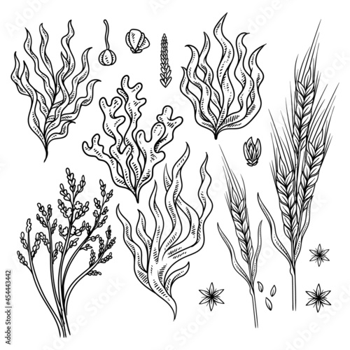 pattern with flowers