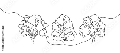 Trees one line set art. Continuous line drawing of plants, herb, tree, wood, nature, flora, poplar, maple, ash tree, linden.