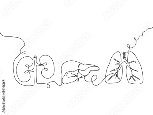 Human internal organs one line set art. Continuous line drawing of kidneys, liver, lungs, gallbladder, pulmonary vein.
