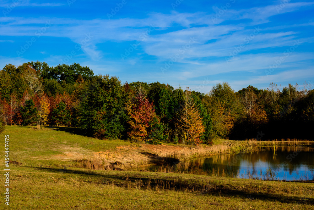 Fall Foliage With Pond-5807 Fall Foliage With Pond-5807