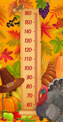 Kids height chart, Thanksgiving turkey, harvest and autumn leaves, vector growth measuring meter. Kid measure scale or baby height ruler with cartoon Thanksgiving cornucopia, pumpkin and acorns