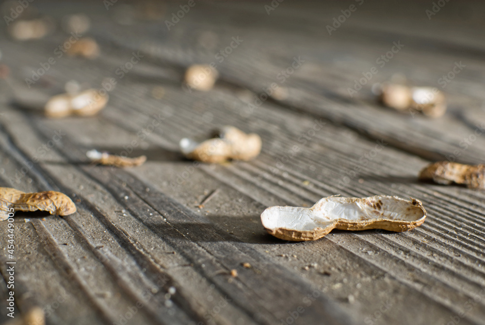 Nut shells scattered on the ground. Nut shells scattered on the ground.