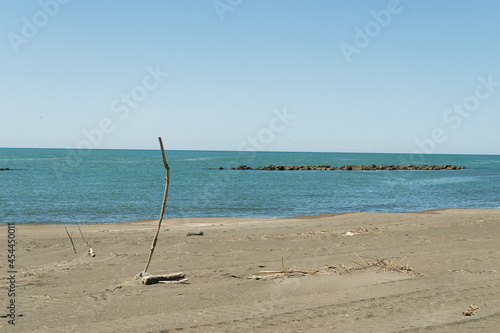 浜辺