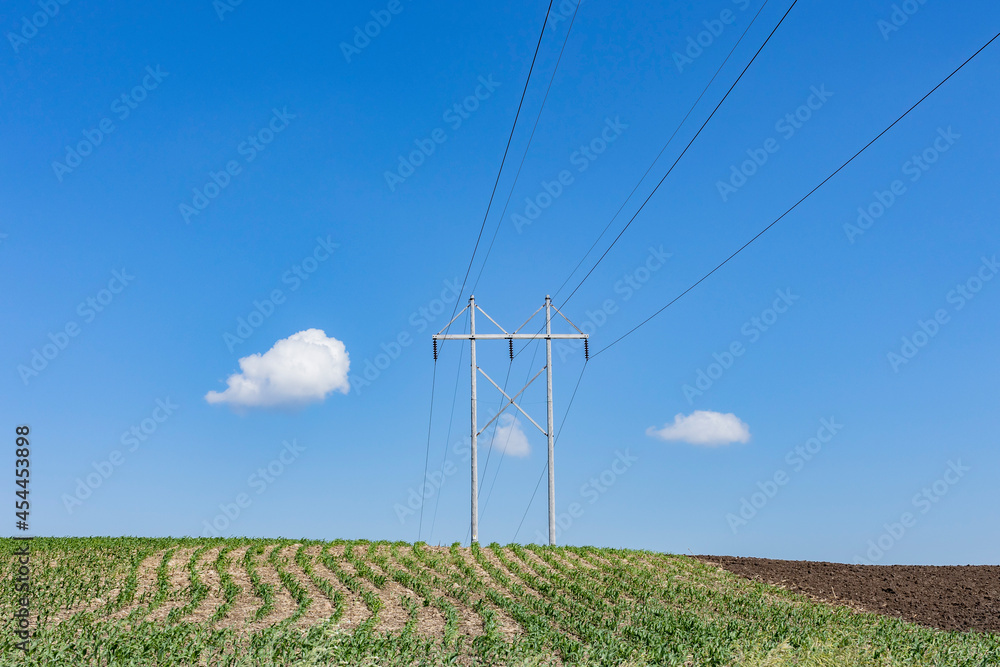 Electric power lines cross a corn field and a plowed field on a sunny day with a blue sky.