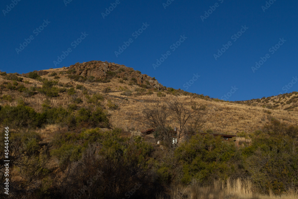 Mountain Zebra National Park, South Africa: back of the camp showing a rock chalet
