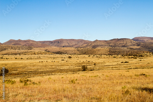 Mountain Zebra National Park, South Africa: a general view of the scenery giving an idea of the topography and veld type