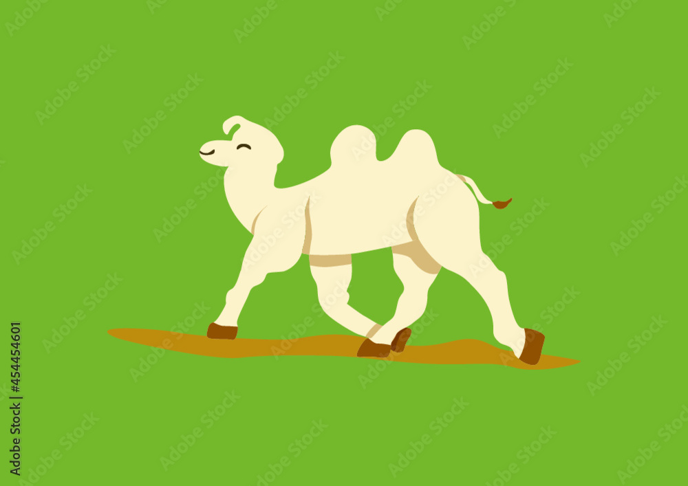 White camel and green background vector illustration White camel and green background vector illustration