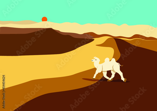 Vector illustration of white camel walking in the desert