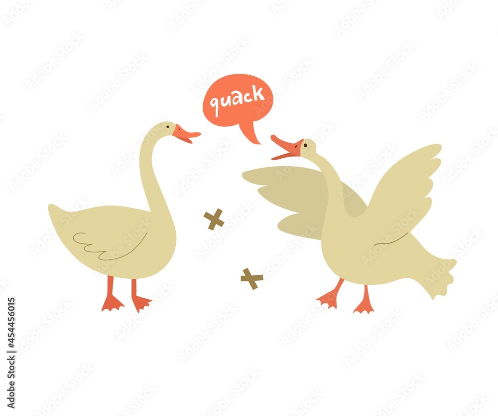 Scene with two geese. The goose flaps its wings and says a quack. Isolated on white background. Vector illustration. Flat style. Farming, home pets, agriculture. Speech bubble. Scene with two geese. The goose flaps its wings and says a quack. Isolated on white background. Vector illustration. Flat style. Farming, home pets, agriculture. Speech bubble.