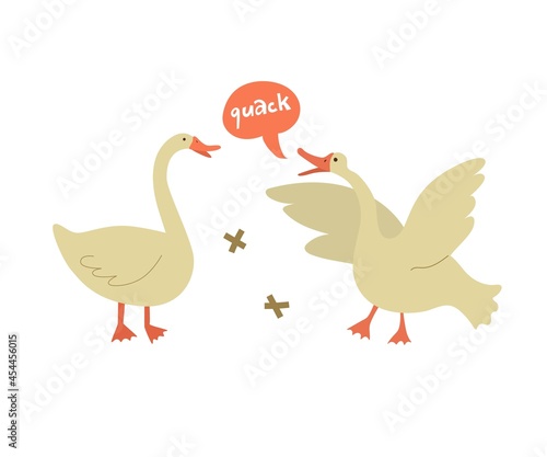 Scene with two geese. The goose flaps its wings and says a quack. Isolated on white background. Vector illustration. Flat style. Farming, home pets, agriculture. Speech bubble.