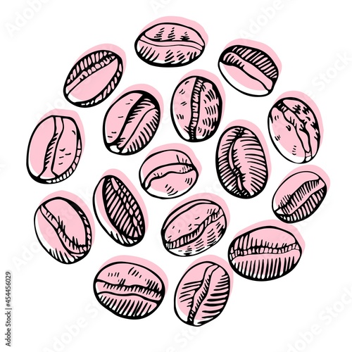 Coffee beans 16 different types. Hand drawn vector illustration. Isolated on pink spots and white background. Coffee grains. Applicable for package, cafe advertising, menu design.