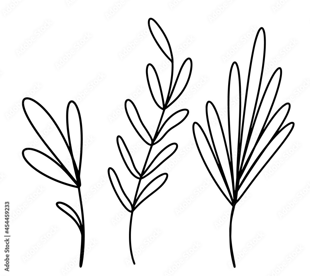 A set of botanical elements drawn with a single line, a minimalistic doodle style, a sprig of eucalyptus, a palm leaf, an abstract flower. Vector illustration. Logo design elements A set of botanical elements drawn with a single line, a minimalistic doodle style, a sprig of eucalyptus, a palm leaf, an abstract flower. Vector illustration. Logo design elements