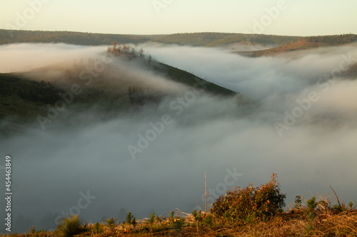 Valley mist at dawn 