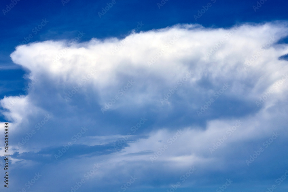 Fototapeta premium The fluffy clous with blue sky 