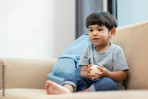Asian little boy playing colorful ball in the living room. Sitting on sofa in the house. Developing children's learning before entering kindergarten Practice the skills.