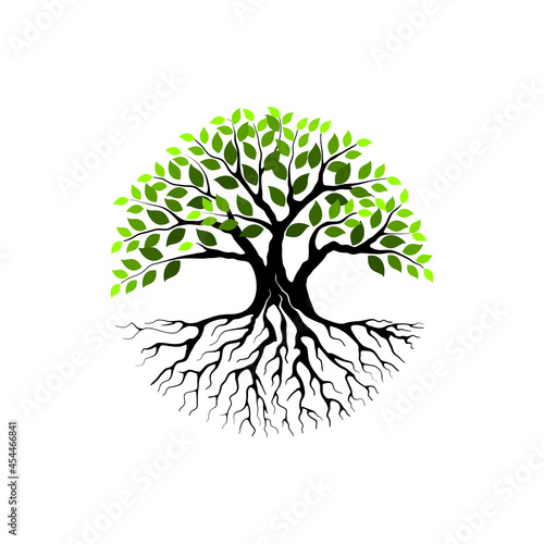 Tree and roots vector, tree with round shape