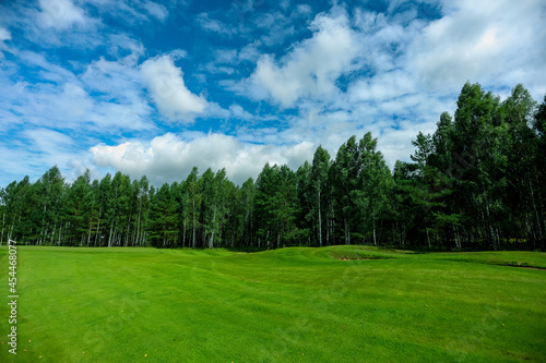 Fototapeta Naklejka Na Ścianę i Meble -  Golf course, landscape, green grass on the background of the forest and a bright sky with clouds. High quality photo