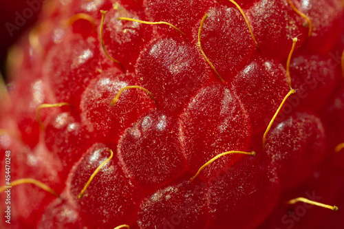 Close up shot of raspberry