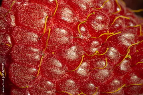 Close up shot of raspberry