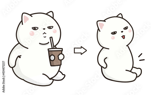 白猫のダイエット。before and after。