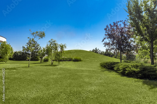 Green parkland with trimmed lawn, hill and trees in summer