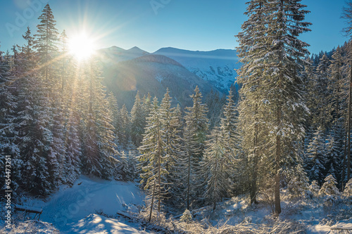 Sunny morning in the way to Grześ Peak, Western Tatra Mountains, Poland. Cold winter weather, high hills and sunbeams in the horizon. Selective focus on the forest, blurred background. photo