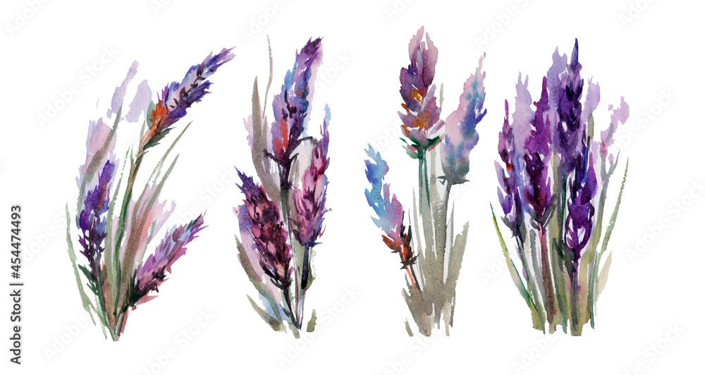 Watercolor provance lavender set. Flowers isolated on white background - obrazy, fototapety, plakaty 