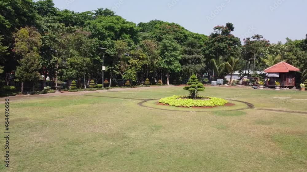 a tree that is growing in the park, the tree is in the middle of the garden field. camera moves sideways (slider) a tree that is growing in the park, the tree is in the middle of the garden field. camera moves sideways (slider)