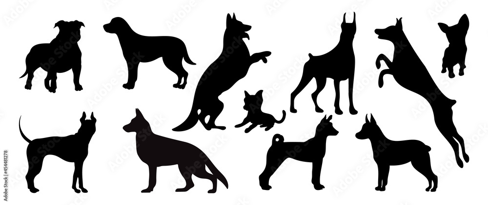Vector silhouette of a dog on a white background. Vector silhouette of a dog on a white background.
