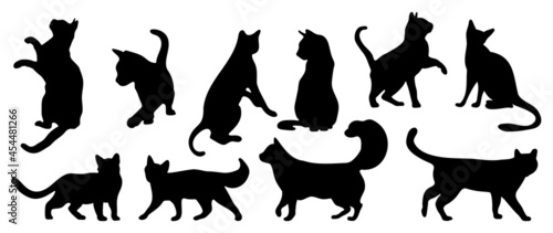 Cats Vector.  Isolated cat silhouette design for logo, print, decorative and sticker.