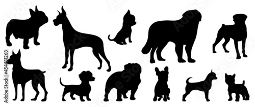 Vector silhouette of a dog on a white background.