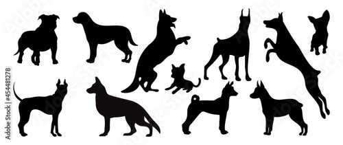 Vector silhouette of a dog on a white background.