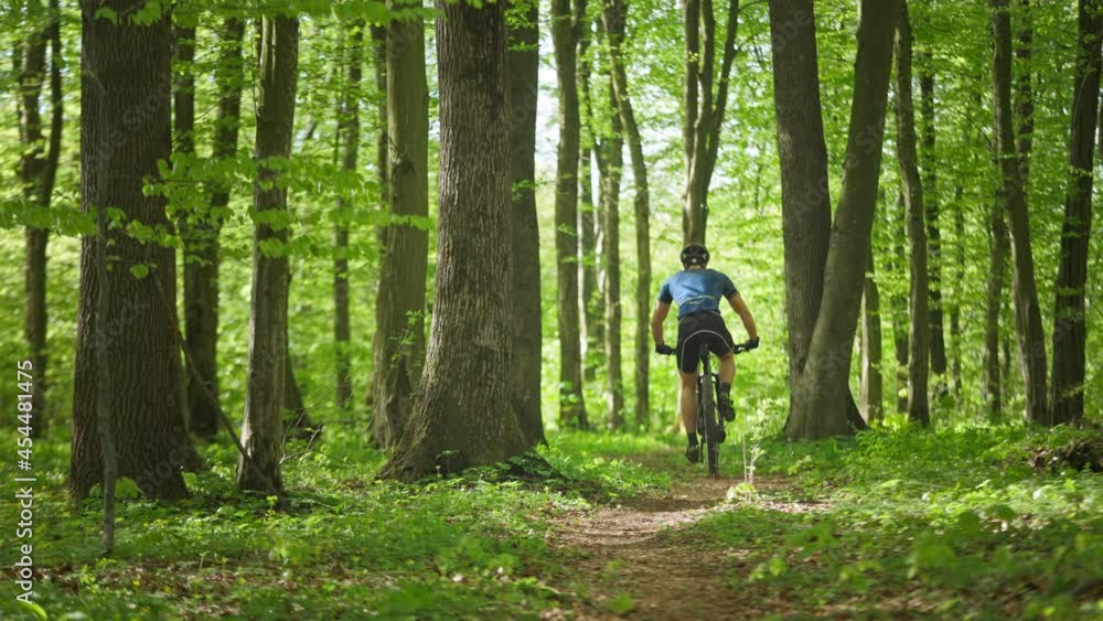 A man on a bicycle is riding along a forest path. He is wearing cycling gear. Shooting from behind. Training on an MTB bike. 4K 50fps A man on a bicycle is riding along a forest path. He is wearing cycling gear. Shooting from behind. Training on an MTB bike. 4K 50fps