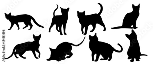 Cats Vector.  Isolated cat silhouette design for logo, print, decorative and sticker.