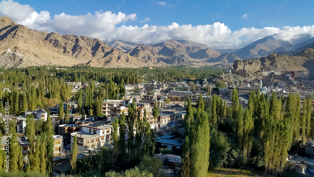 A morning landscape view of the Leh town.