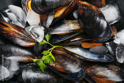 Raw mussels as background, closeup