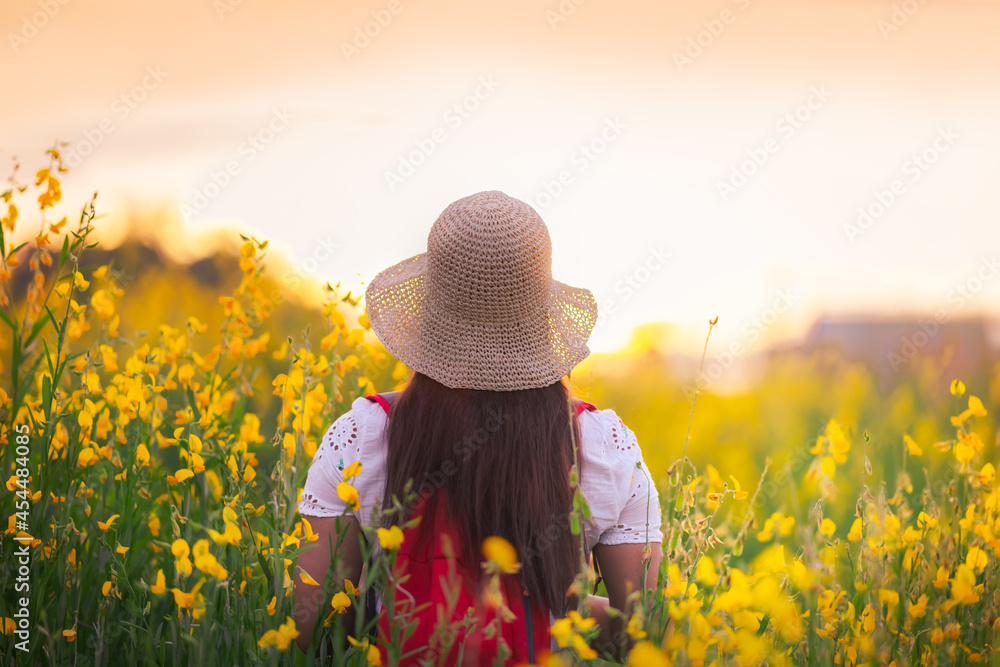 Traveler woman joy beautiful nature scenic landscape sunset in yellow flower blooming spring season, Outdoor tourist travel countryside Thailand summer holiday vacation, Tourism destination place Asia