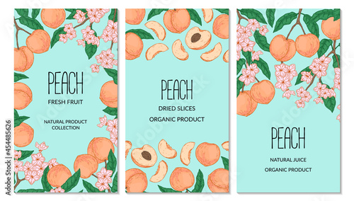 Set of hand drawn peach vertical designs. Vector illustration in sketch style