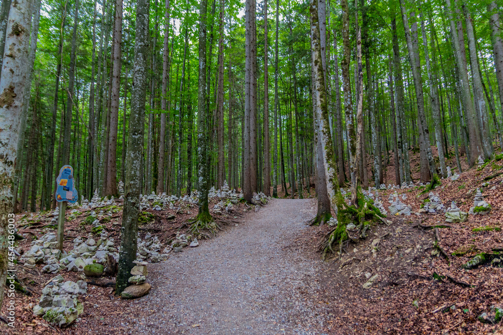 Urlaubsfeeling rund um die schöne Leutaschklamm in Tirol Urlaubsfeeling rund um die schöne Leutaschklamm in Tirol
